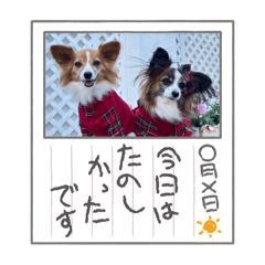 nene_20250430164434