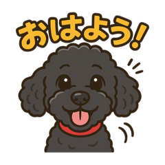 Kj_20250501142013