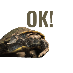 k_20250430174706