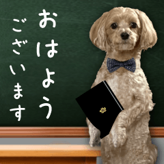 飛び出す！教えて☆まる先生
