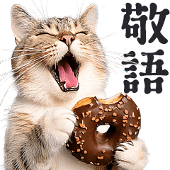 nyantomo! real cats meme donut
