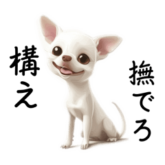 miwaya creator_20250430223133