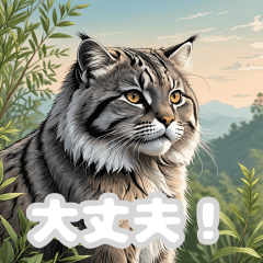 Cute Cat_Japanese