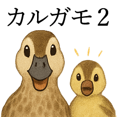 Chitchat of Birds5 - Spot-billed Duck 2