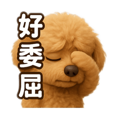 古月小女丑日常