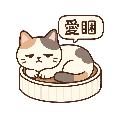 pin的貓療癒貼圖