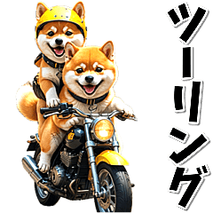 ツーリング♡バイク好き　豆柴 (春夏)