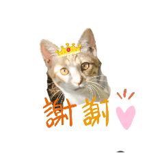愉兒小天地