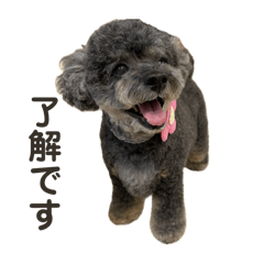 日常で使える谷口シルフ2