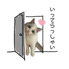 wataame_20250430190136