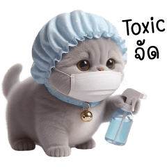 Grumpy Kitten With Shower Cap So Annoyed