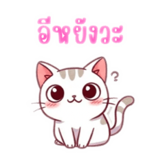 Carrot_20250501105252