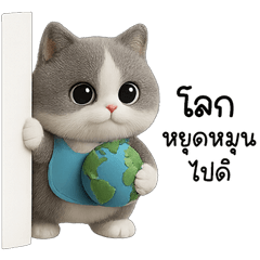 meowtaotao <3