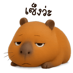capybara cute <3