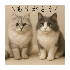 Tom to Gin_20250430190813