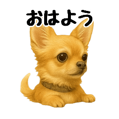 Kehidupan Sehari-hari Chihuahua Vol.1