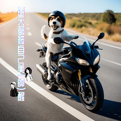 可愛的傑克羅素梗犬