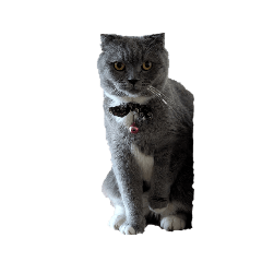 MuMOO: Staring at you