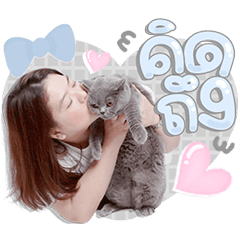 Momo the cat V.3