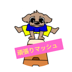 komugi_20250501103018