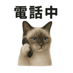 サラリーマンラグドールのお仕事スタンプ！