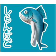 さかなくん❶……