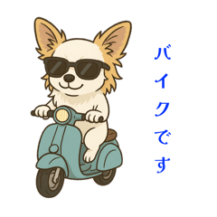 YOSHI_20250501005842