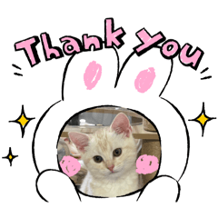 ren_mama_20250501142532