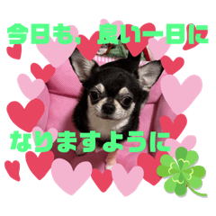 keiko_20250501142629