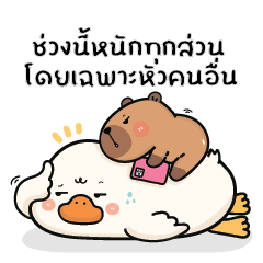พะโล้ห่านน่ารัก V.16