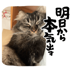 tsuna_20250501165333