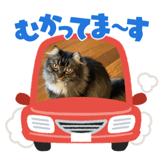 tsuna_20250501165543