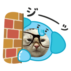 CAT CORORIN_20250501184752