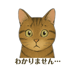 Ume-chan's Daily Life