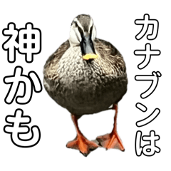 rrr_20250501170803