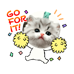 GRAPE_20250501183616