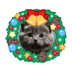 GRAPE_20250501204837