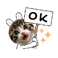 GRAPE_20250501211121