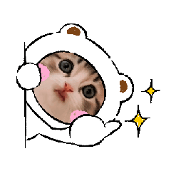 GRAPE_20250501215251