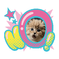 GRAPE_20250501213454