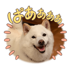 emi_20250501175343