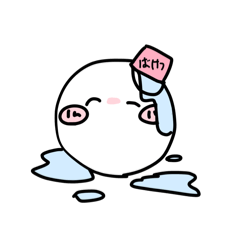 Sheri_20250501201415