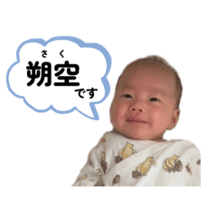 sakumaru boy