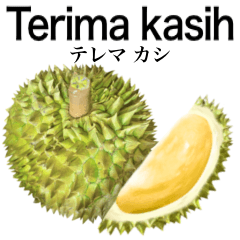 Ripe Durian 19