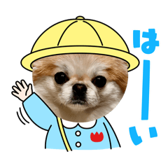 ぺきちわ　日常すたんぷ。