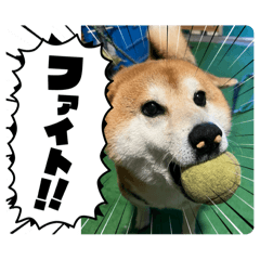 miho_20250501211241