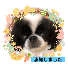 Ran_20250501211238
