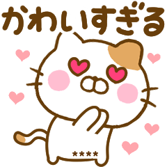 推し活ねこひなカスタム