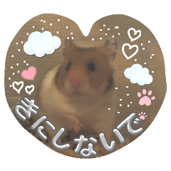 yuyuyuytoto