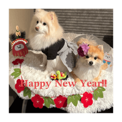 hi_20250501212701
